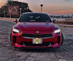 کیا ستینگەر